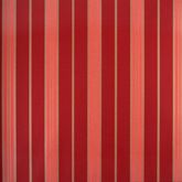 Papel de parede vinílico Classic Stripes Cód. CT889116